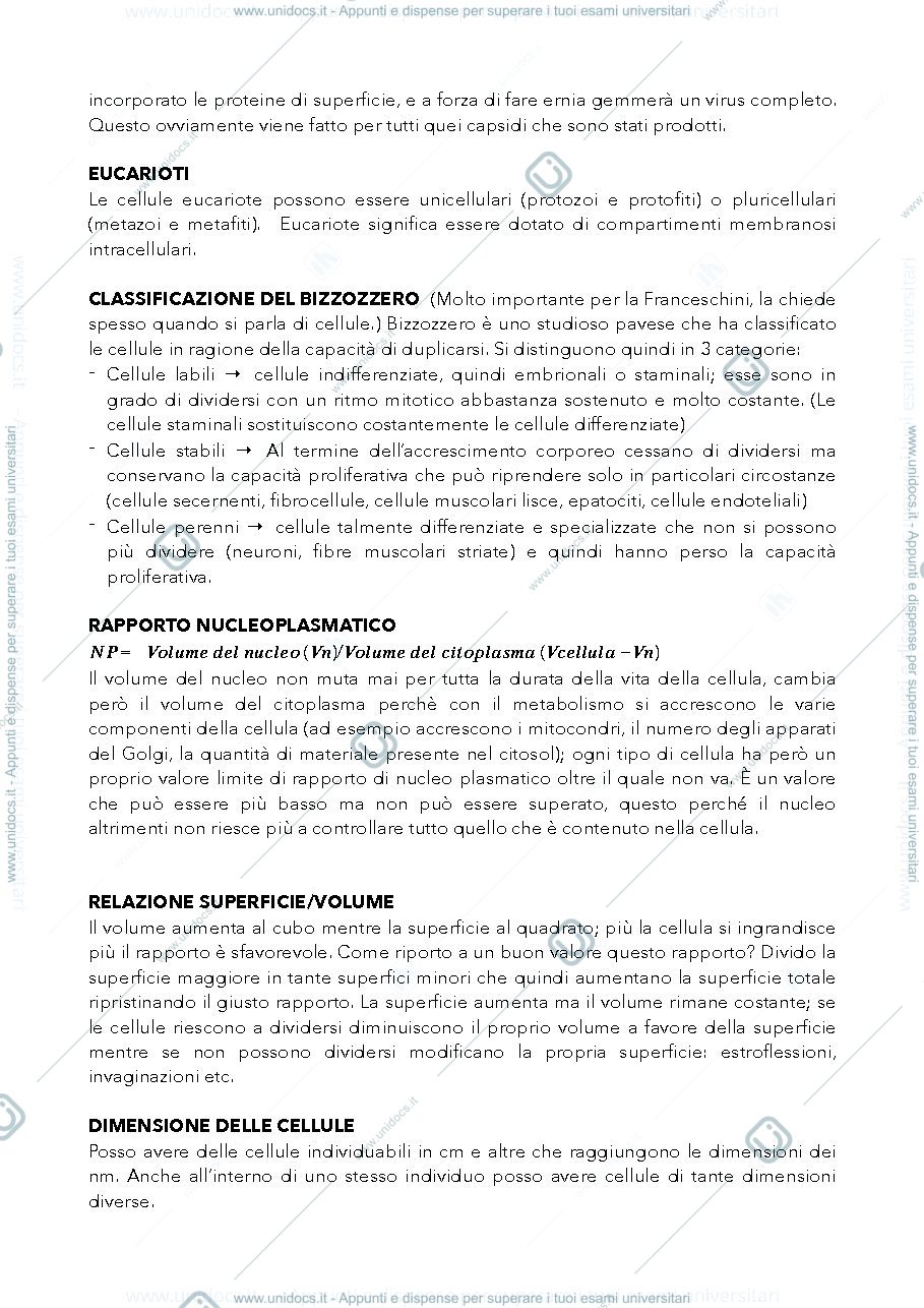 Anteprima pagina 3 — Membrana Plasmatica e Procarioti