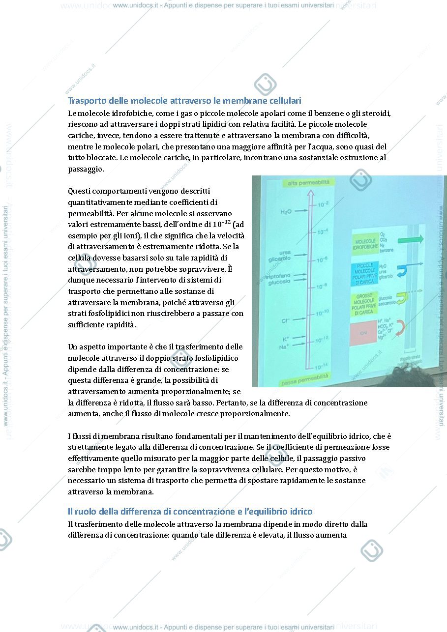 Anteprima pagina 1 — citologia 