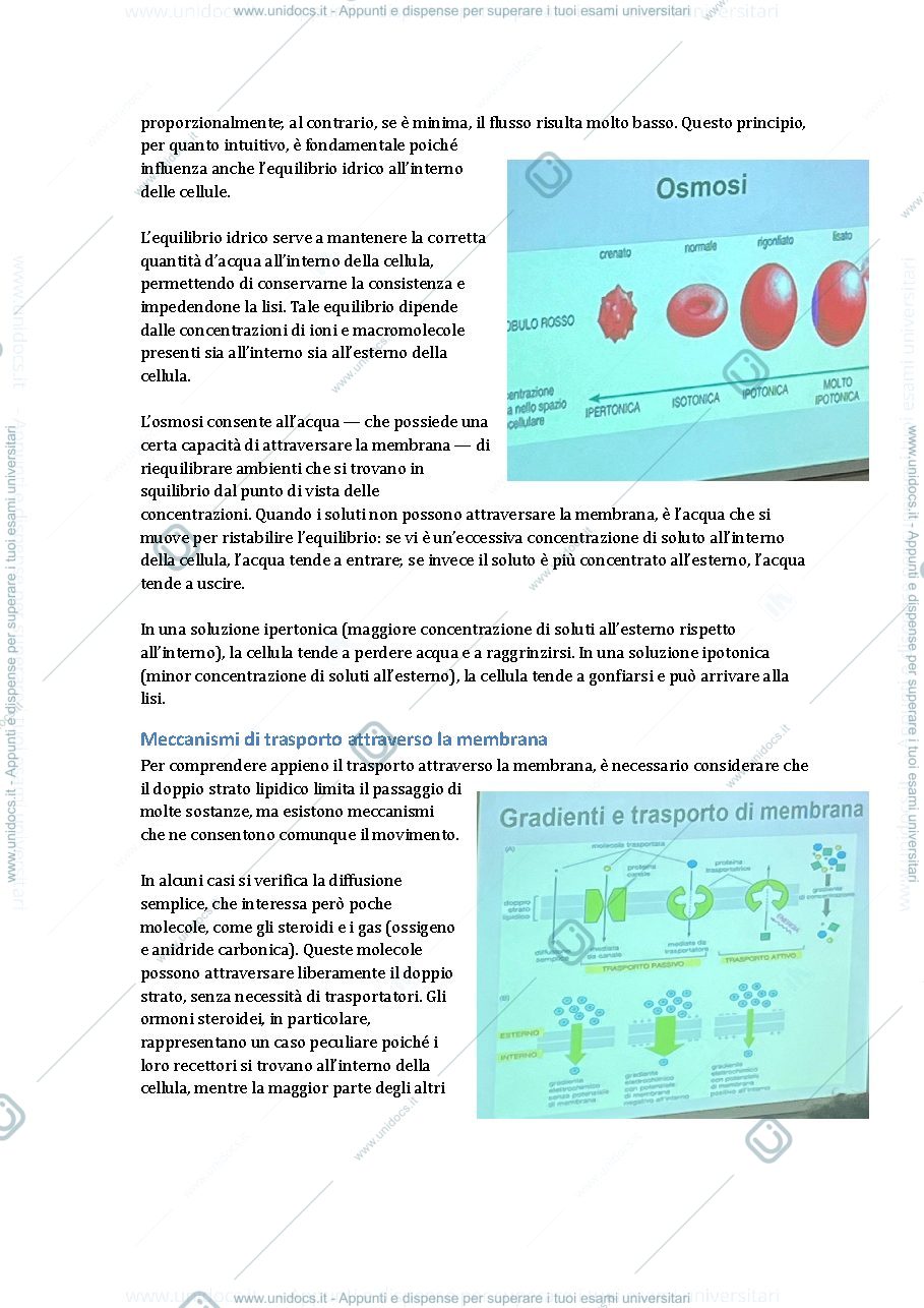 Anteprima pagina 2 — citologia 