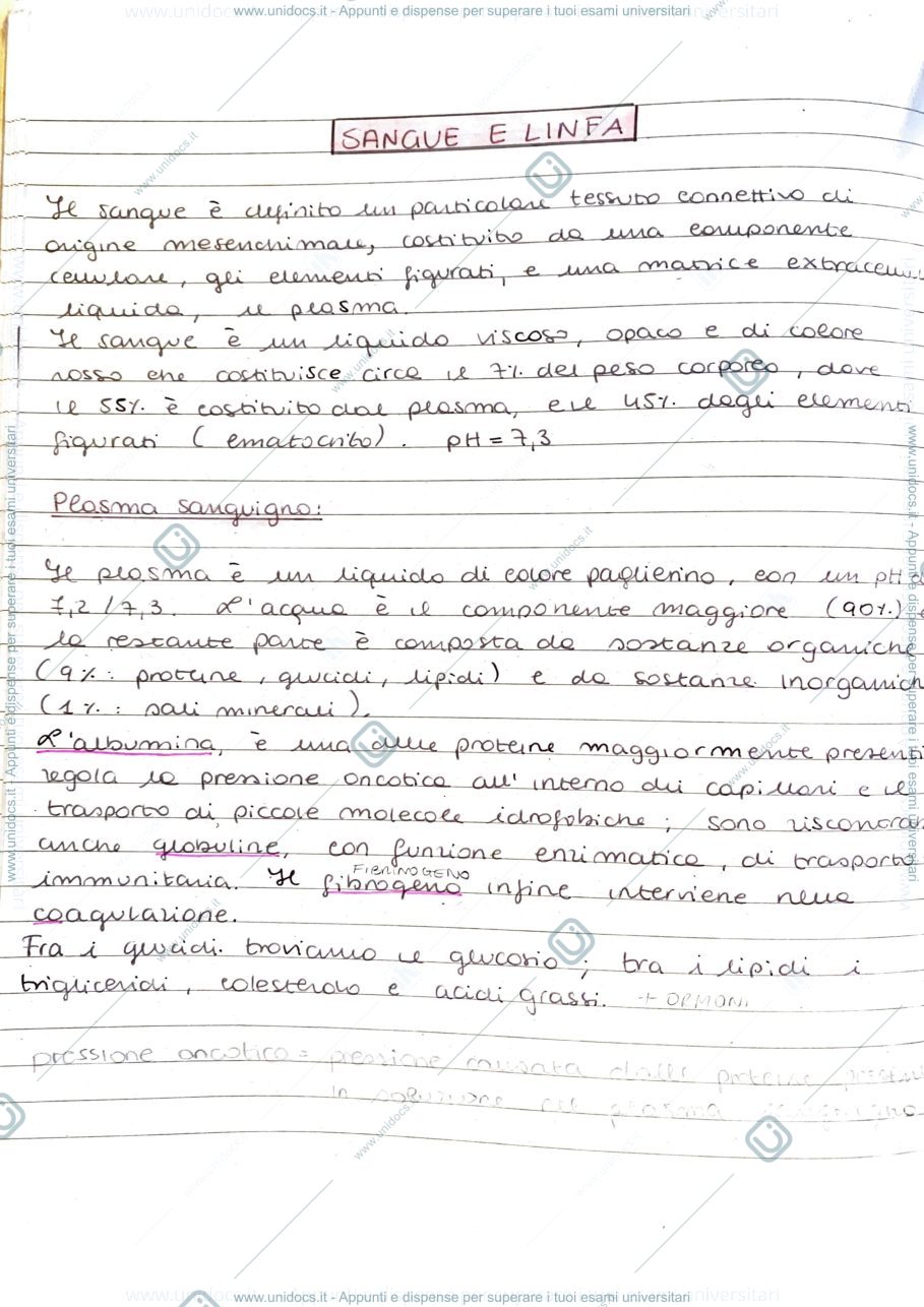 Anteprima pagina 1 — Connettivi