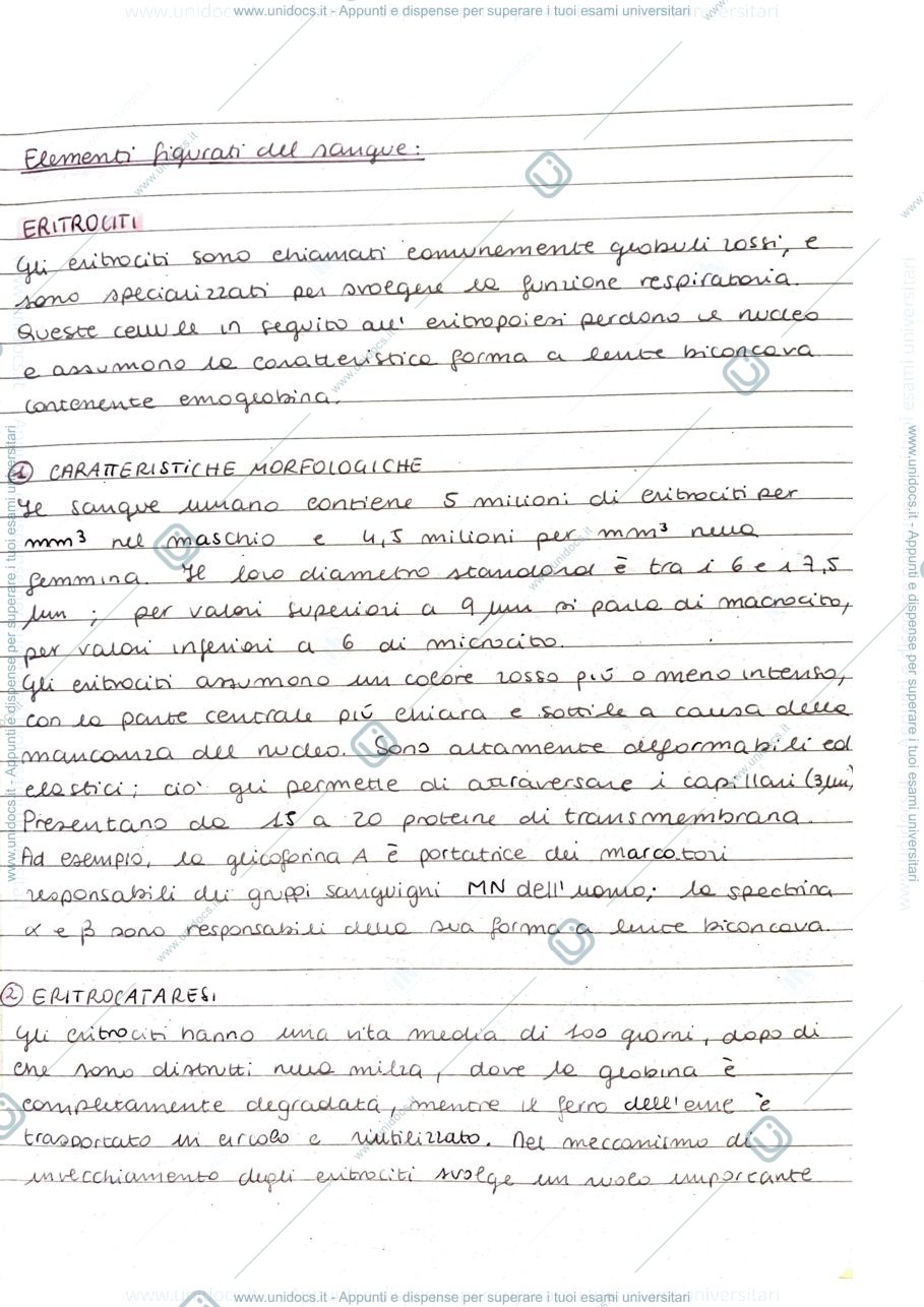 Anteprima pagina 2 — Connettivi