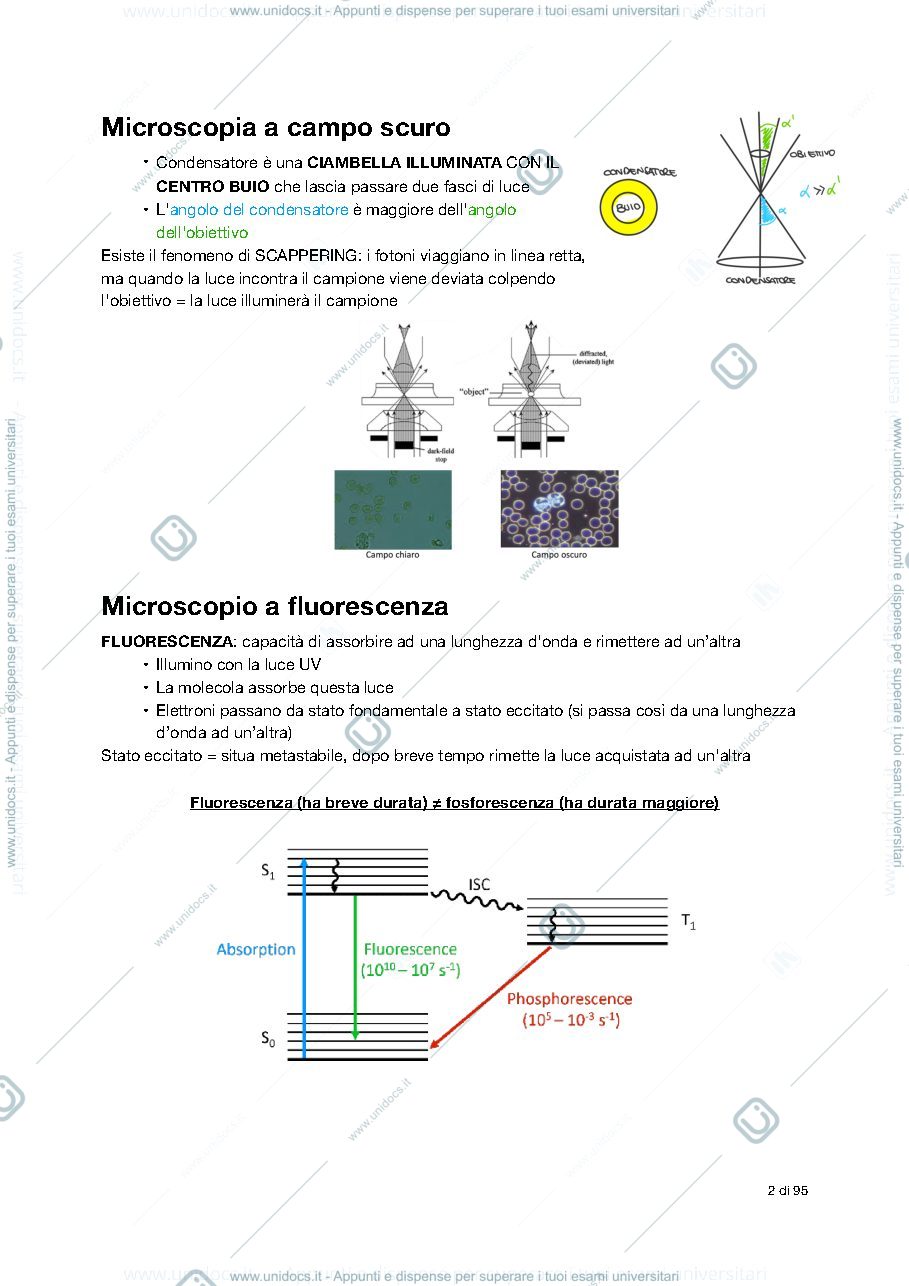 Anteprima pagina 2 — Appunti citologia