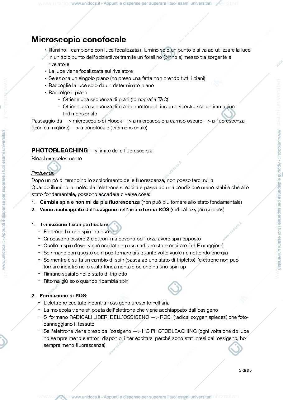 Anteprima pagina 3 — Appunti citologia