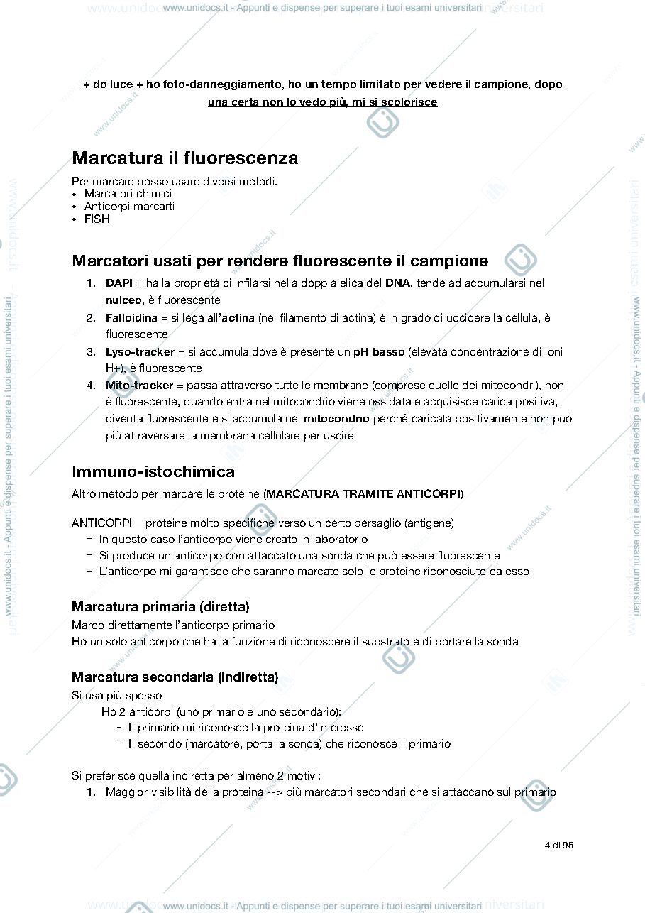 Anteprima pagina 4 — Appunti citologia