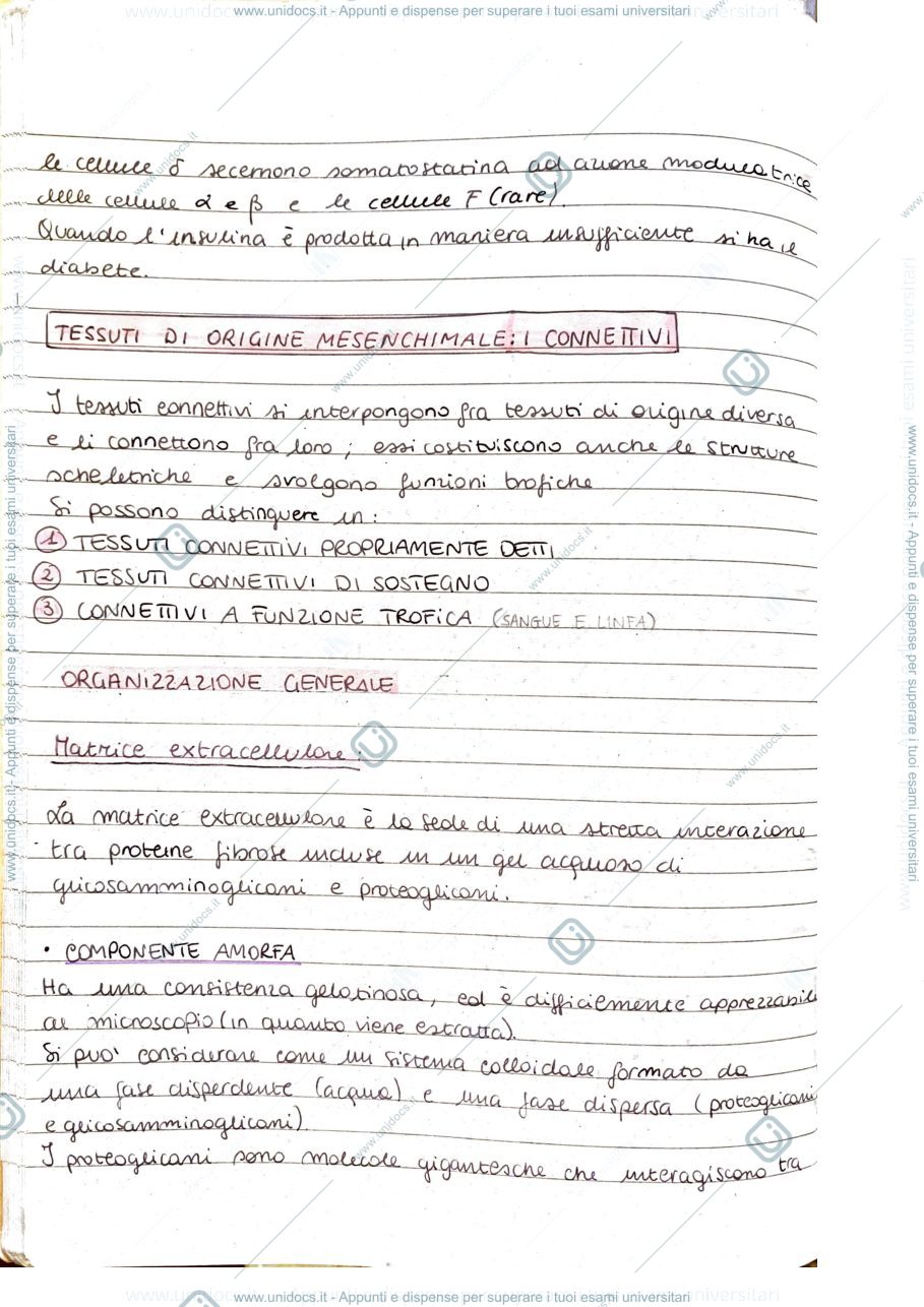 Anteprima pagina 1 — Connettivi
