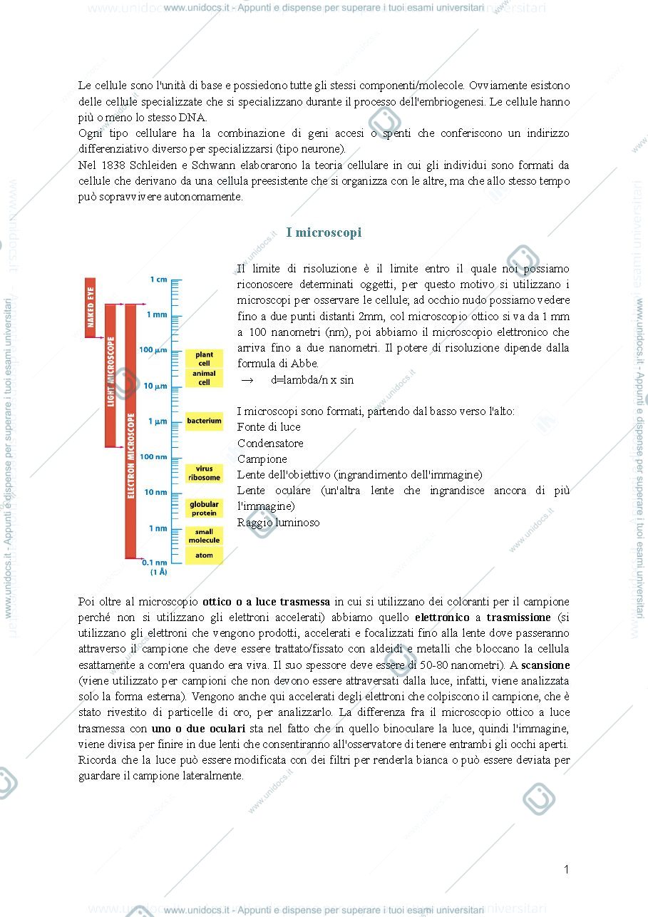Anteprima pagina 1 — riassunto citologia