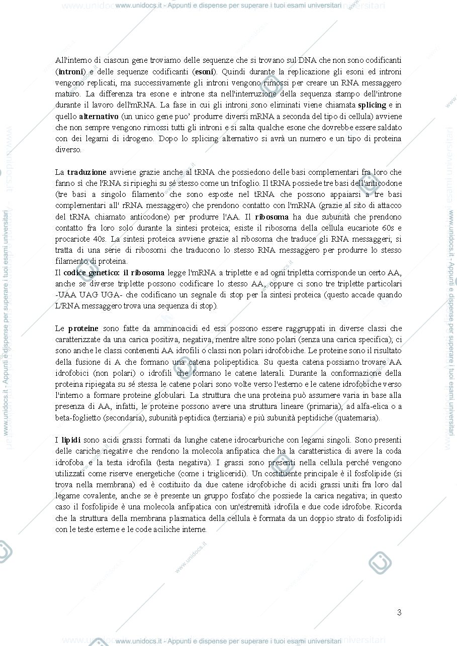 Anteprima pagina 3 — riassunto citologia