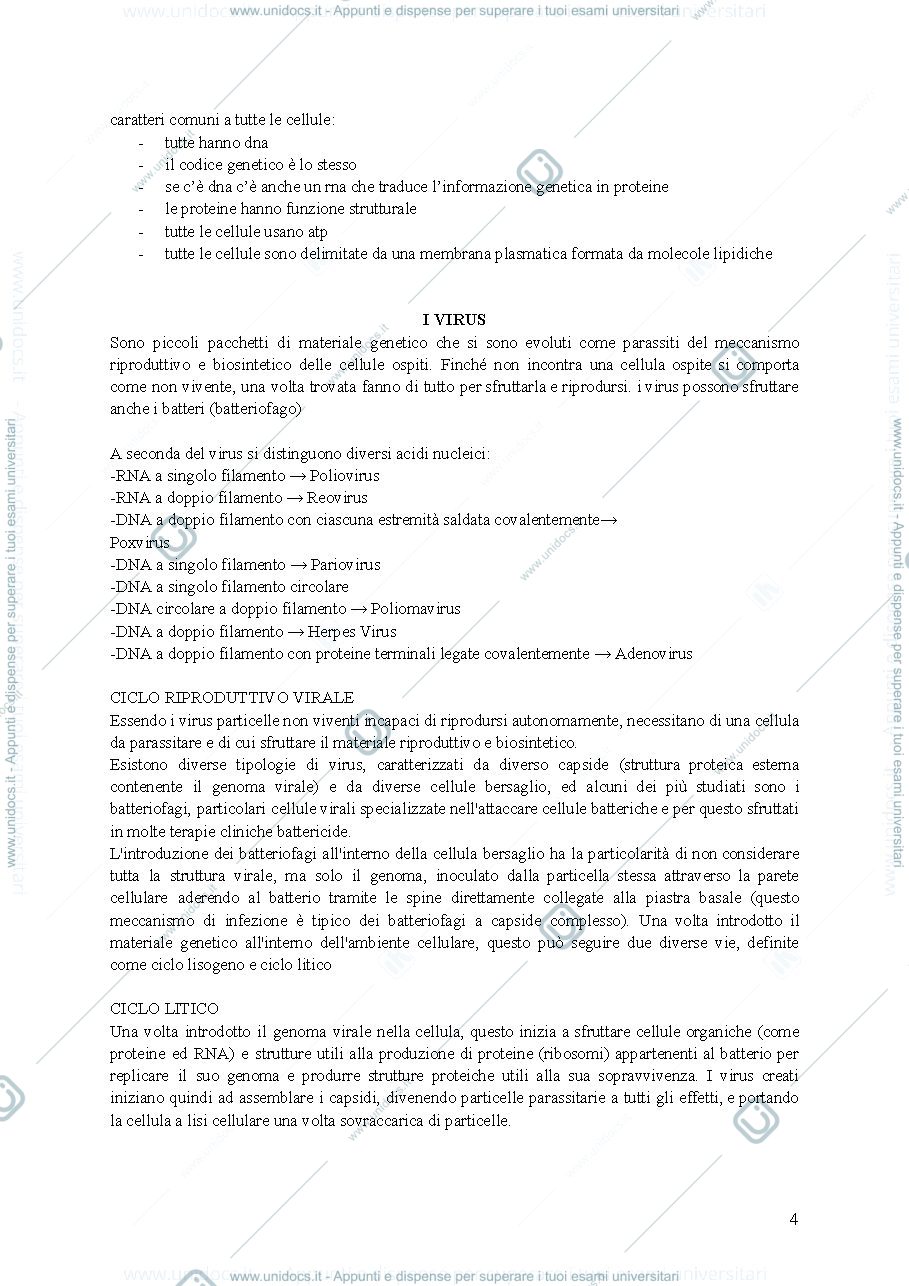 Anteprima pagina 4 — riassunto citologia
