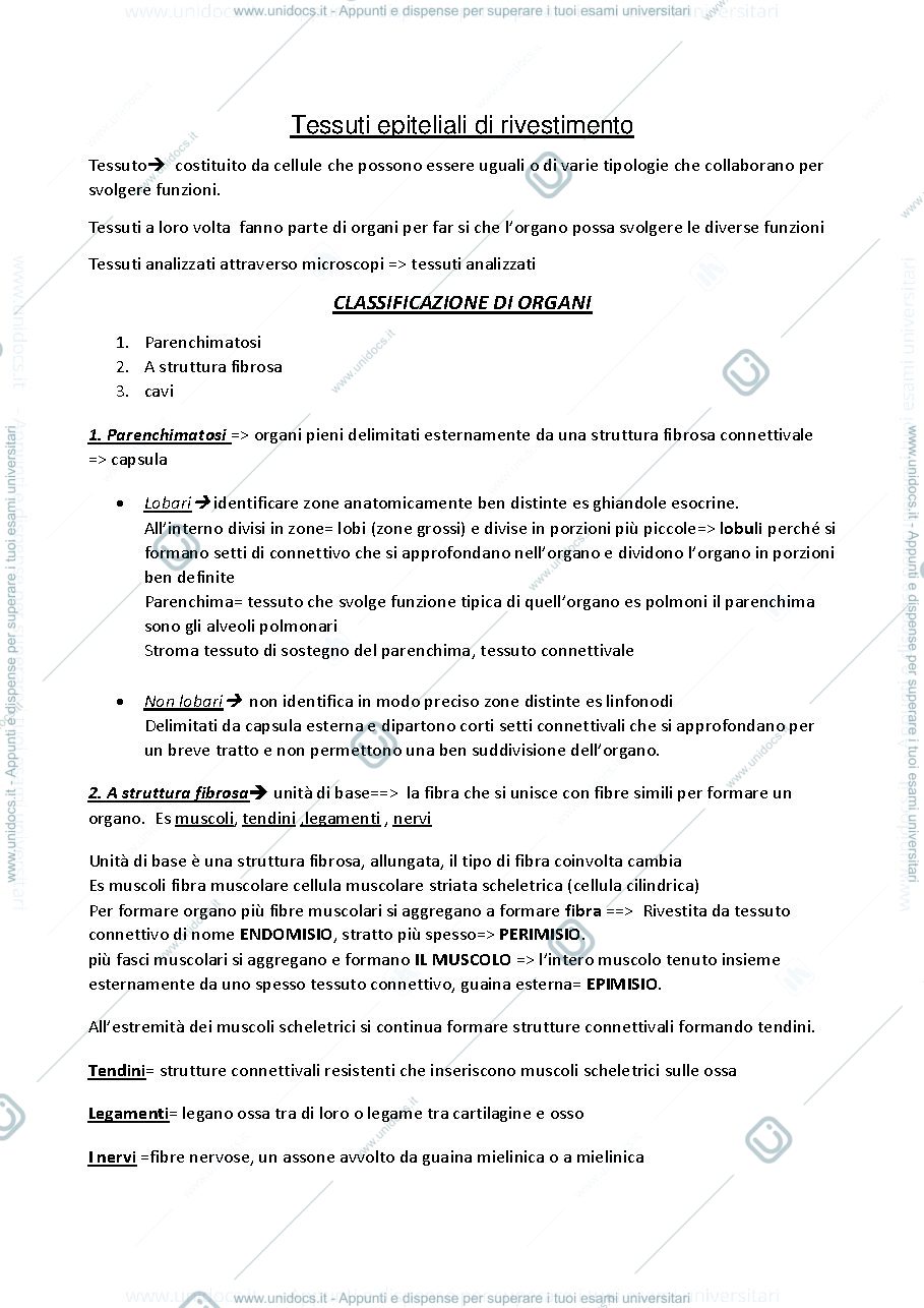 Anteprima pagina 1 — tessuti epiteliali
