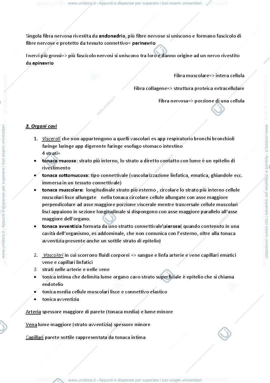 Anteprima pagina 2 — tessuti epiteliali