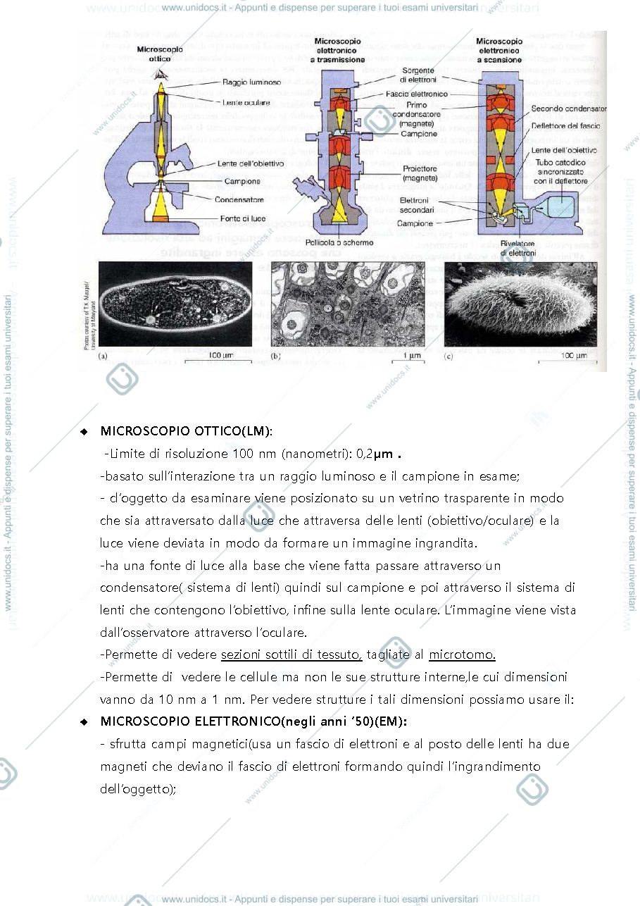 Anteprima pagina 2 — Appunti integrati con libro del programma di Citologia del Prof. Andreazzoli