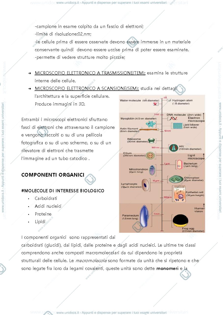 Anteprima pagina 3 — Appunti integrati con libro del programma di Citologia del Prof. Andreazzoli