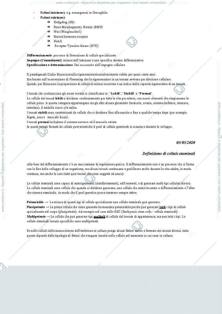 Anteprima pagina 2 — ISTOLOGIA 