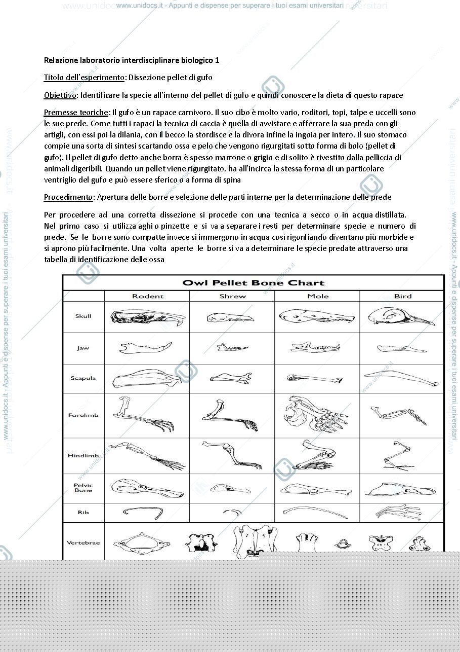 Anteprima pagina 1 — biologia