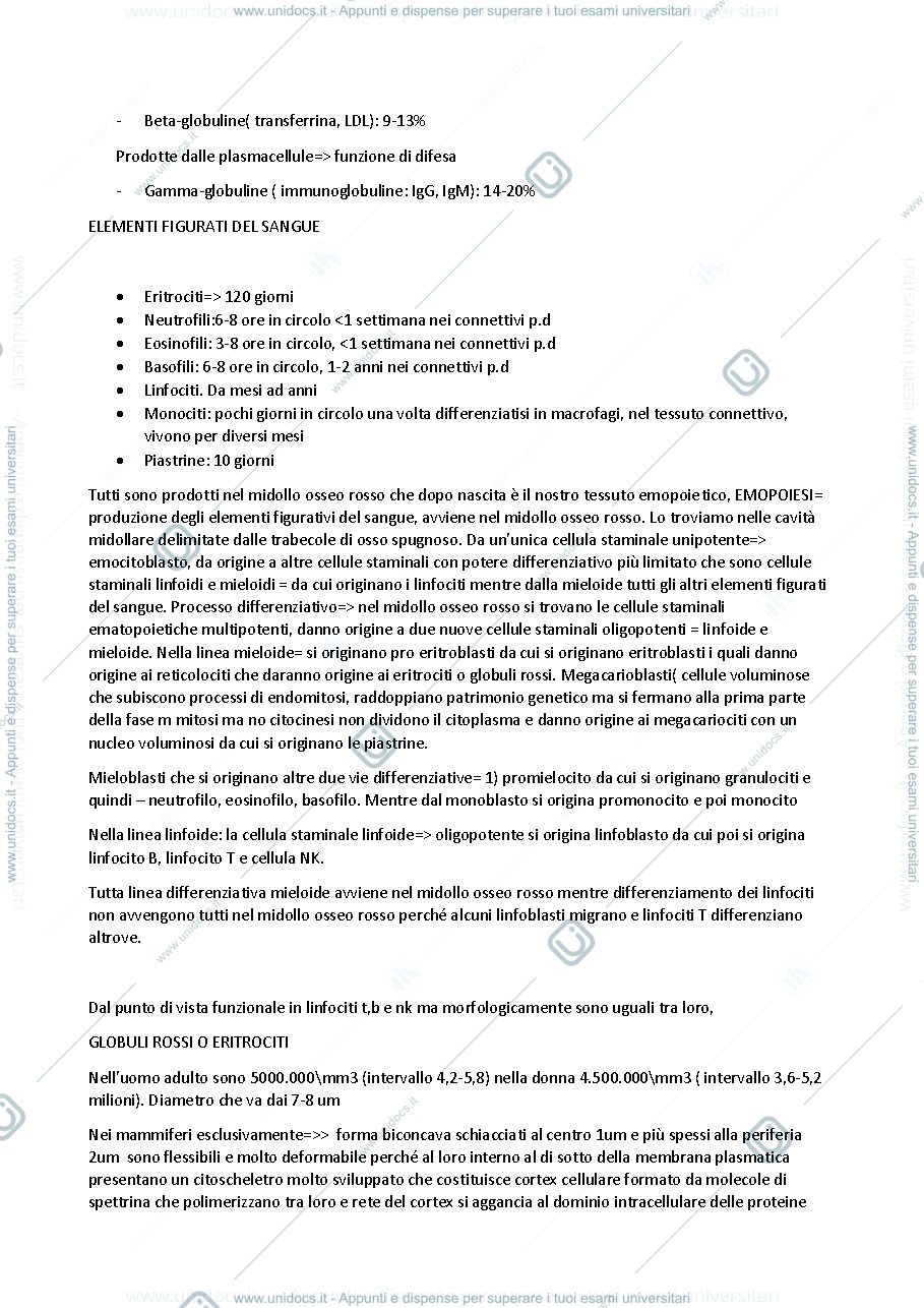 Anteprima pagina 2 — sangue e componenti del sangue