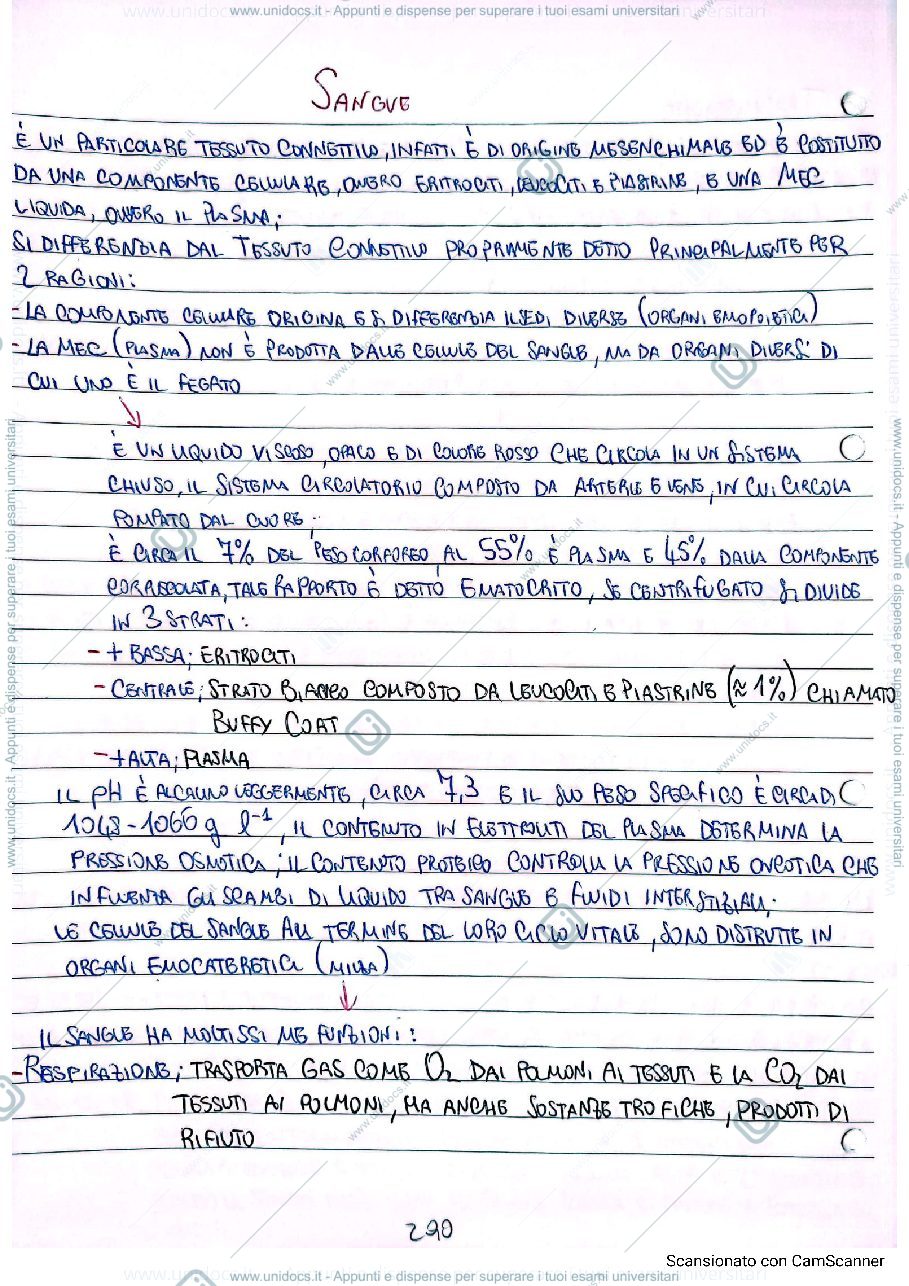 Anteprima pagina 1 — sangue