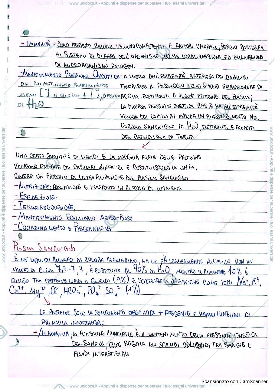 Anteprima pagina 2 — sangue