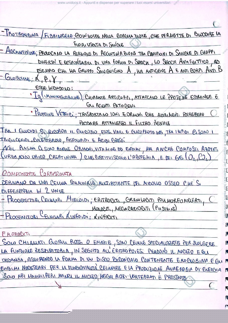 Anteprima pagina 3 — sangue
