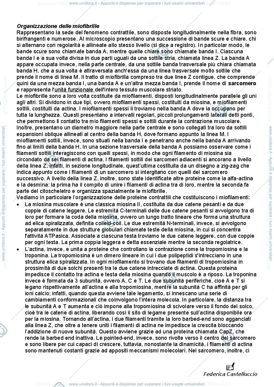 Anteprima pagina 2 —  ISTOLOGIA tessuto muscolare