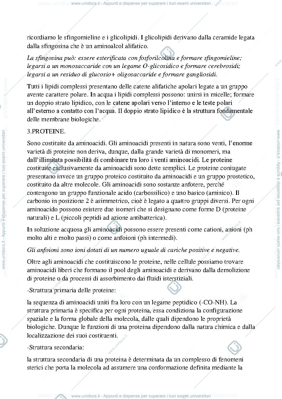 Anteprima pagina 3 — CITOLOGIA
