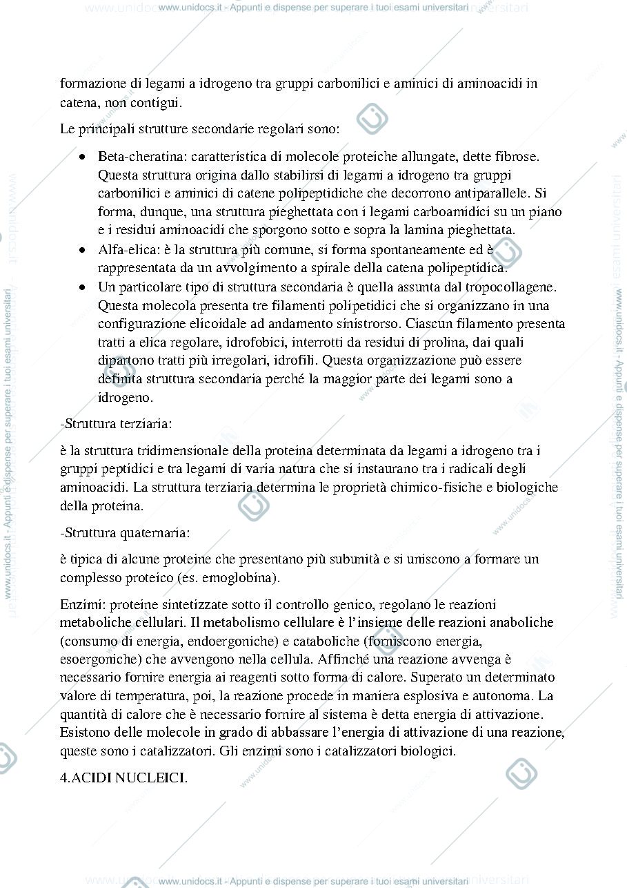 Anteprima pagina 4 — CITOLOGIA