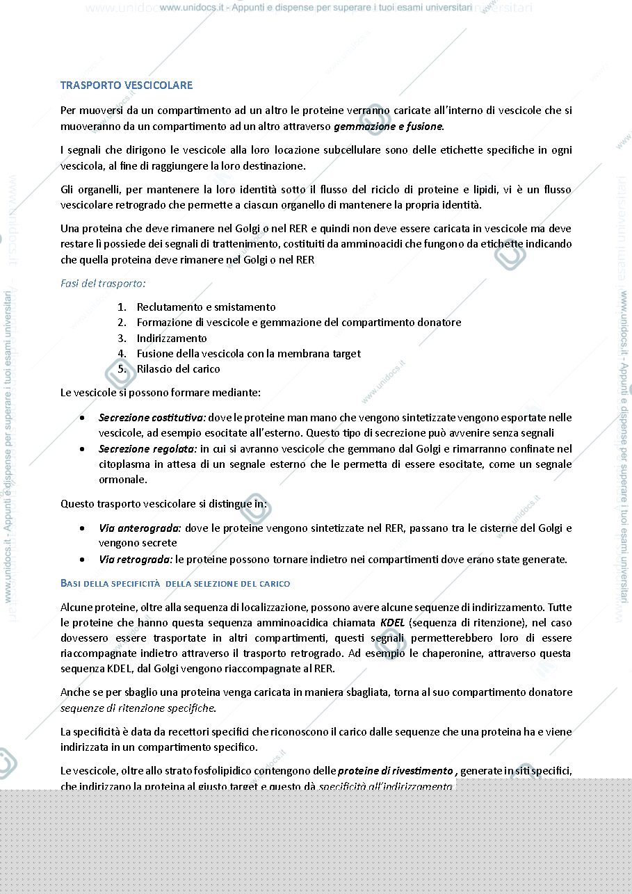 Anteprima pagina 1 — trasporto vescicolare