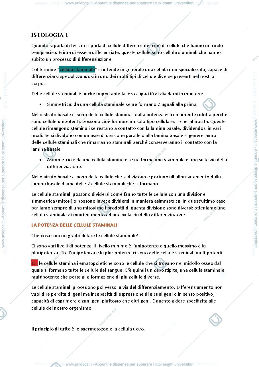 Anteprima pagina 1 — Istologia