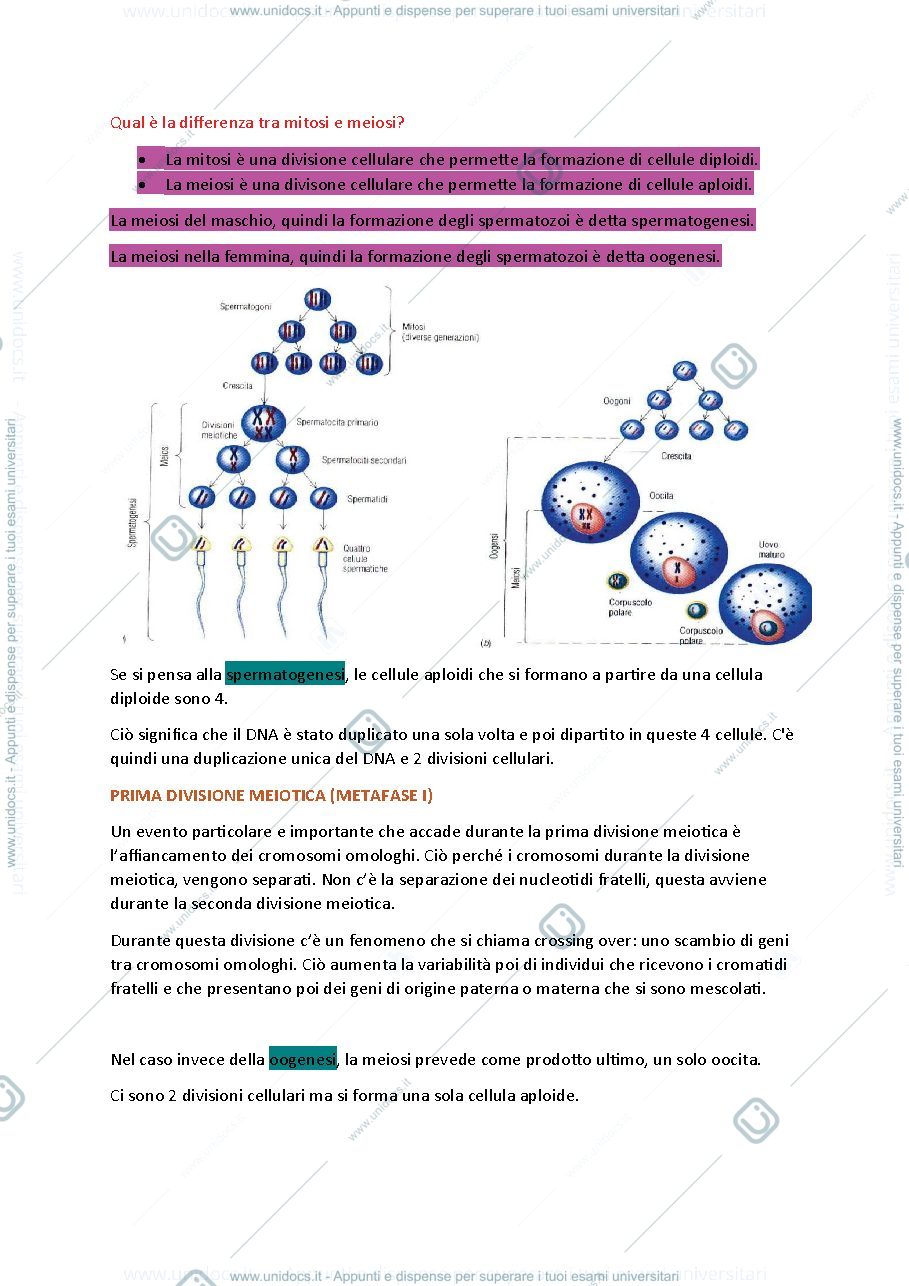 Anteprima pagina 2 — Istologia