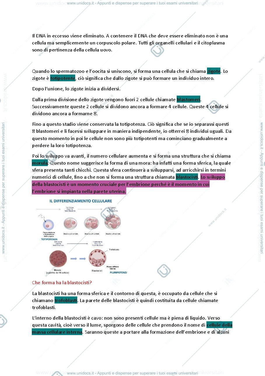 Anteprima pagina 3 — Istologia