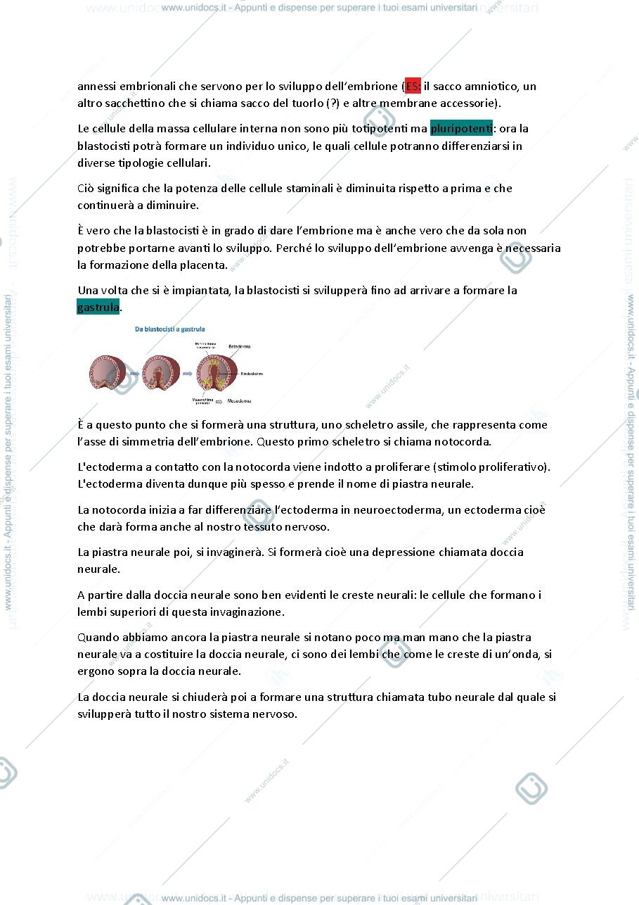 Anteprima pagina 4 — Istologia