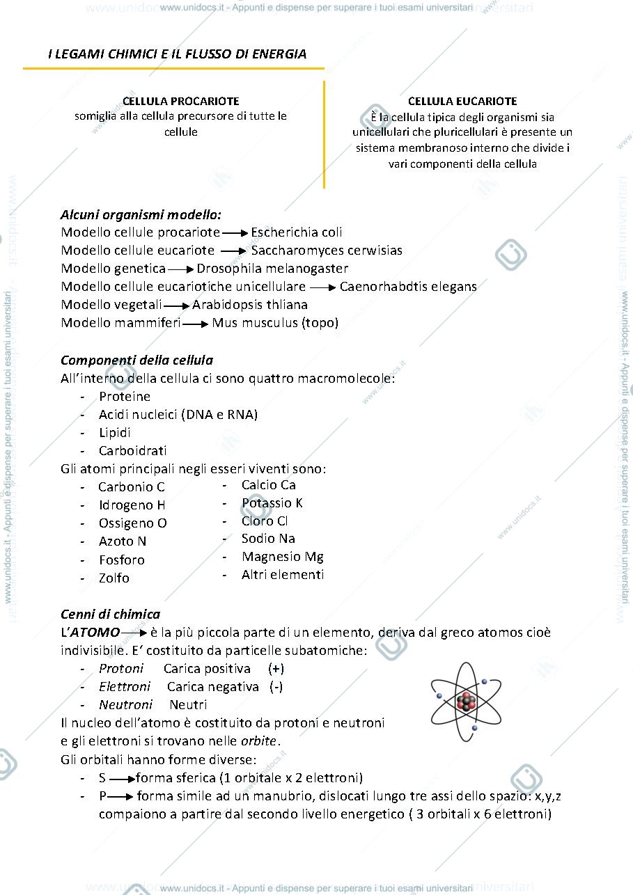 Anteprima pagina 5 — Appunti Citologia