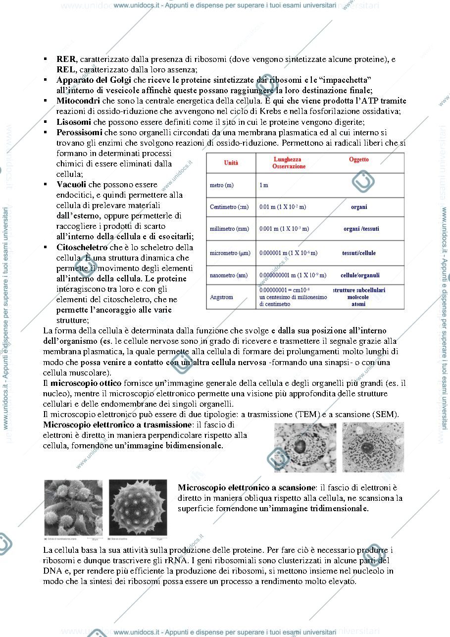 Anteprima pagina 2 — Citologia e Istologia