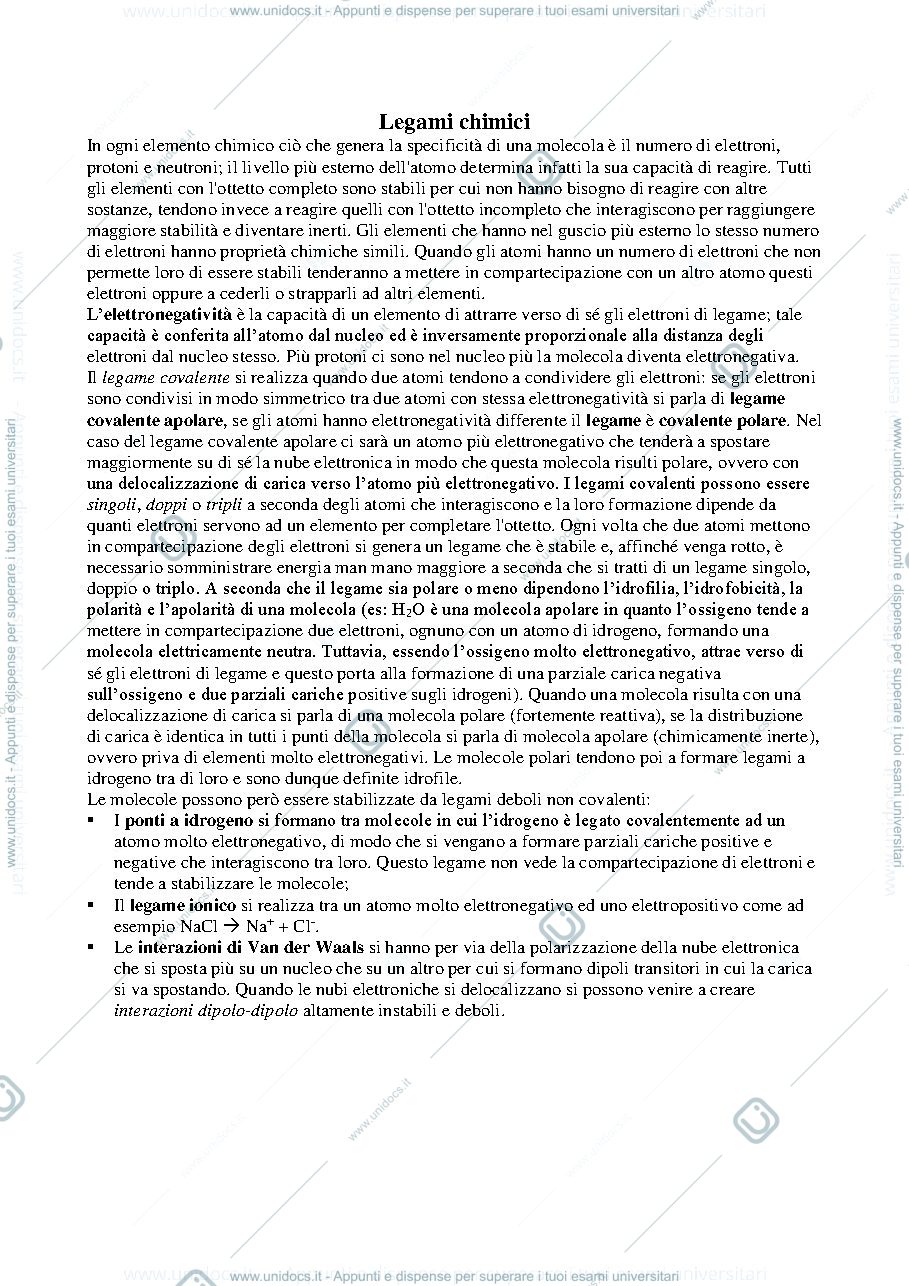 Anteprima pagina 4 — Citologia e Istologia