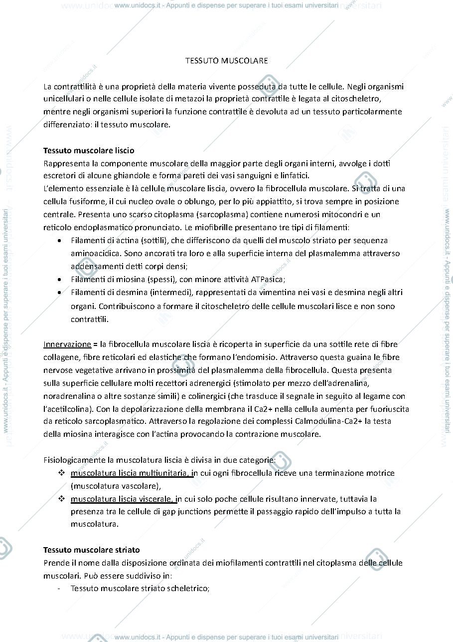 Anteprima pagina 1 — tessuto muscolare