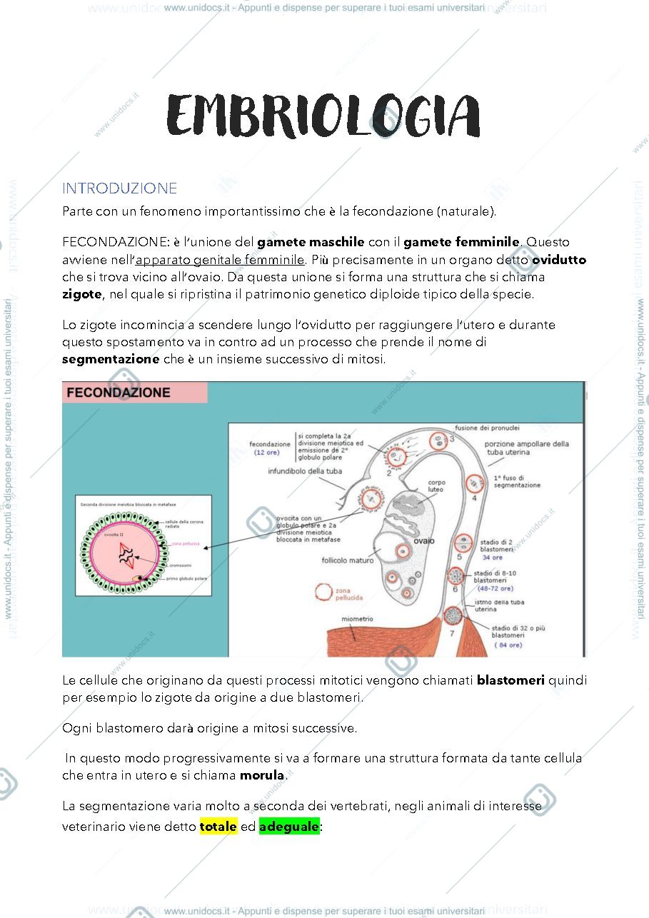 Anteprima pagina 1 — Embriologia