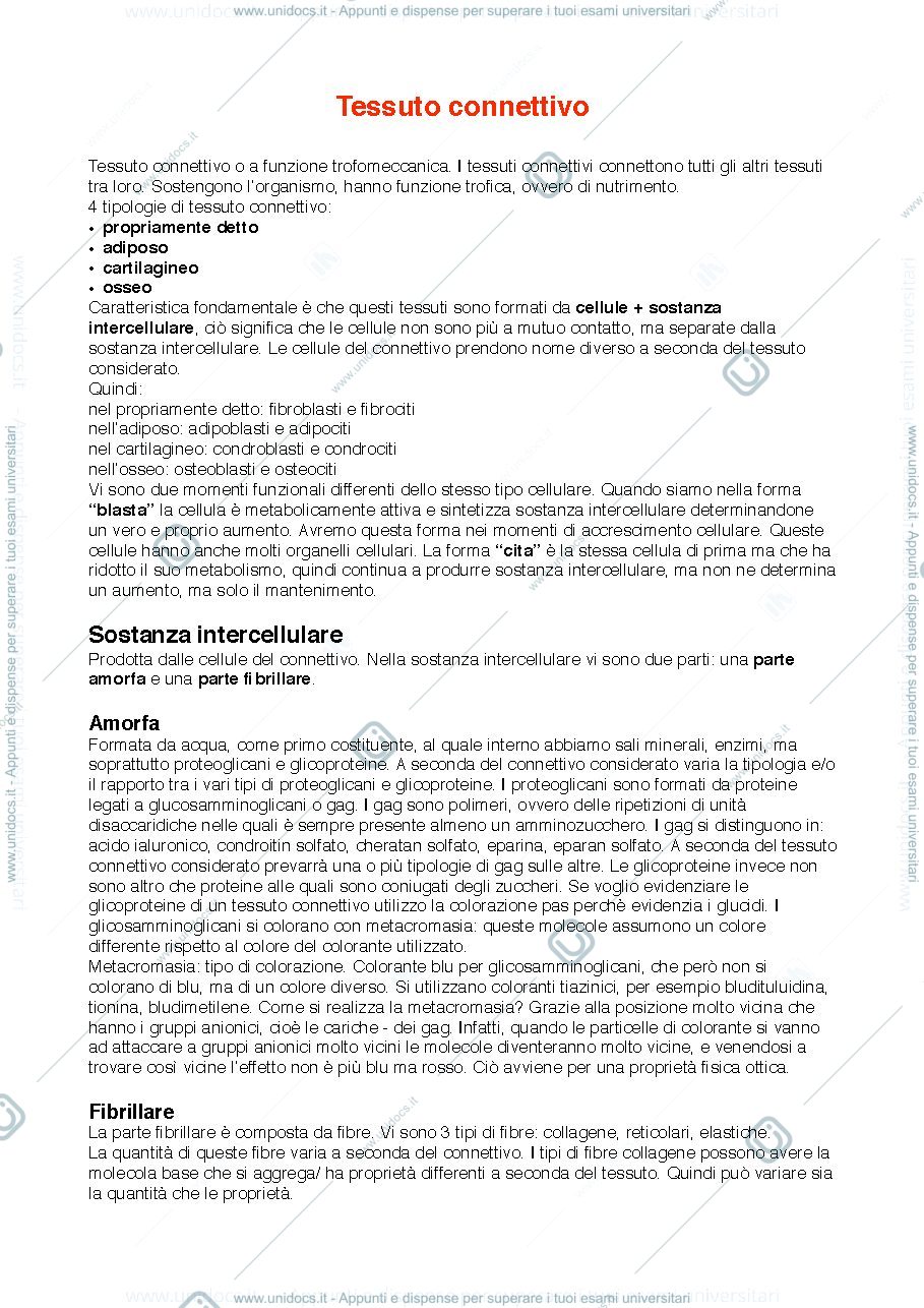 Anteprima pagina 1 — istologia