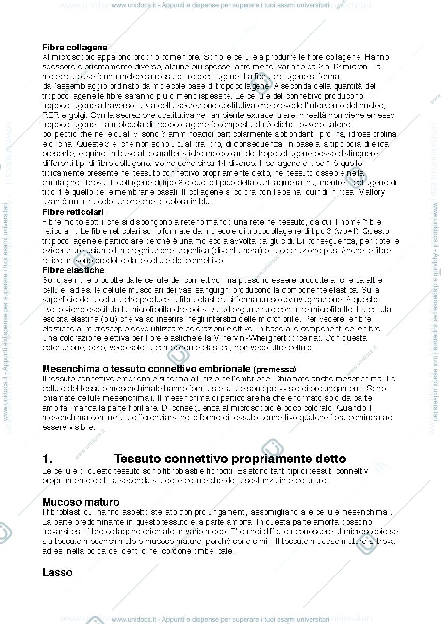 Anteprima pagina 2 — istologia