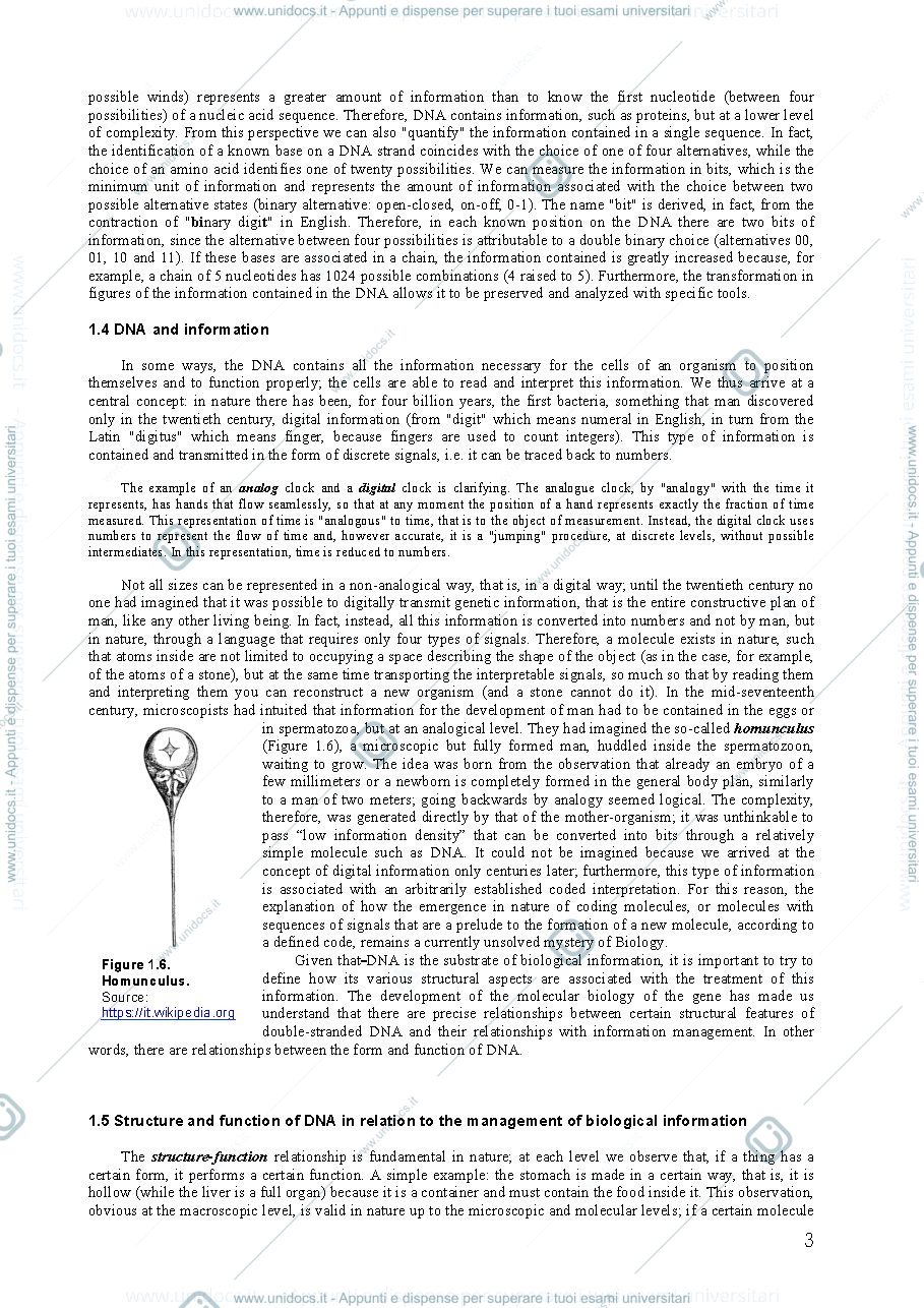 Anteprima pagina 3 — Dispense del professore per l'esame di classical and next generation genomics