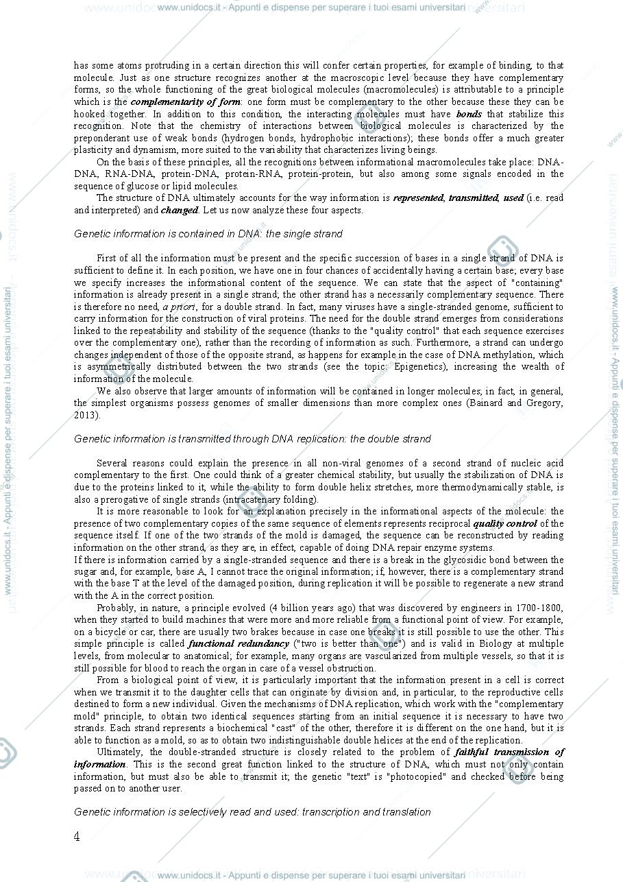 Anteprima pagina 4 — Dispense del professore per l'esame di classical and next generation genomics