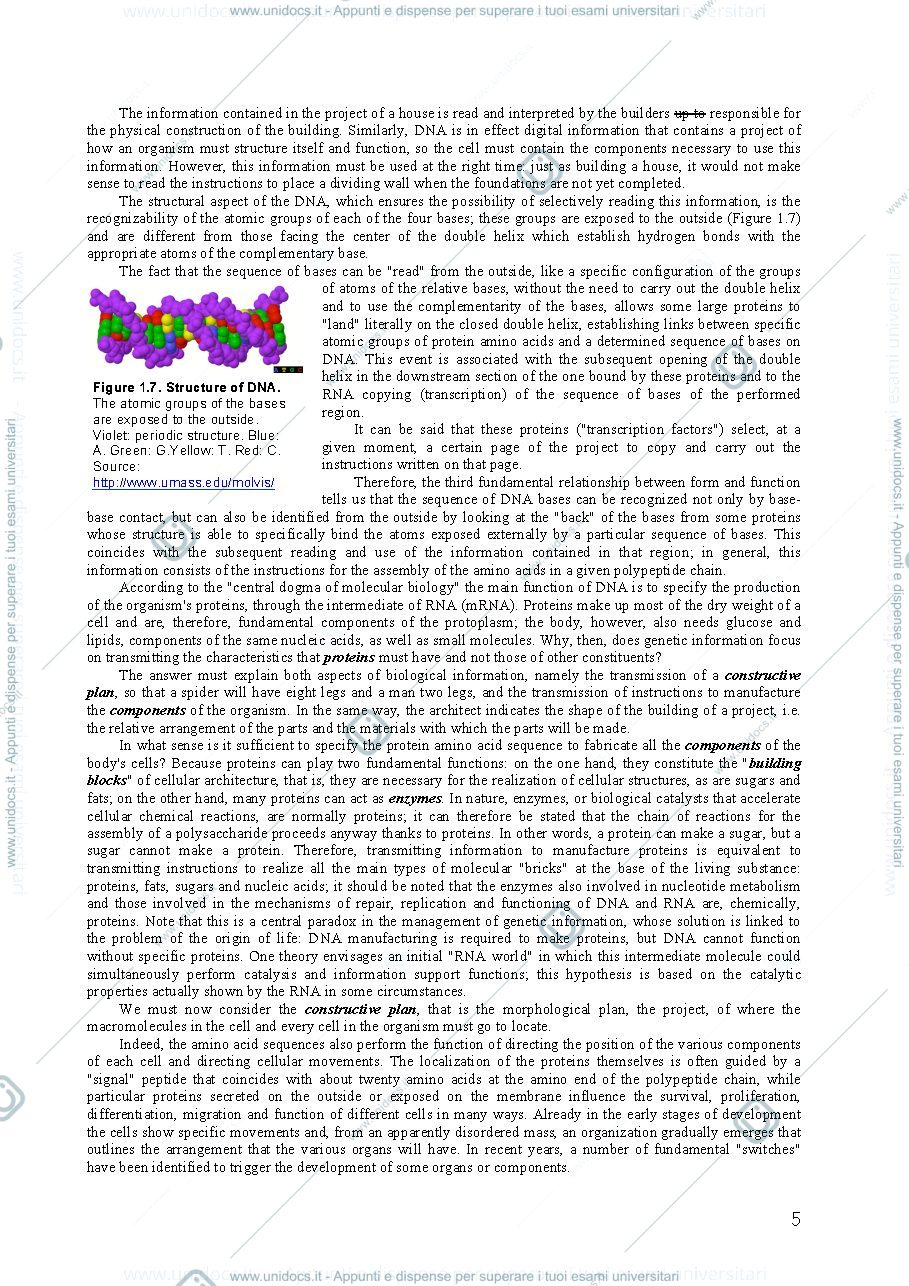 Anteprima pagina 5 — Dispense del professore per l'esame di classical and next generation genomics