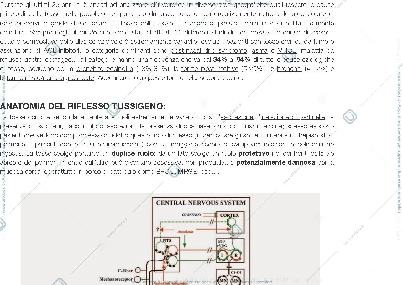 Anteprima pagina 2 — Tosse