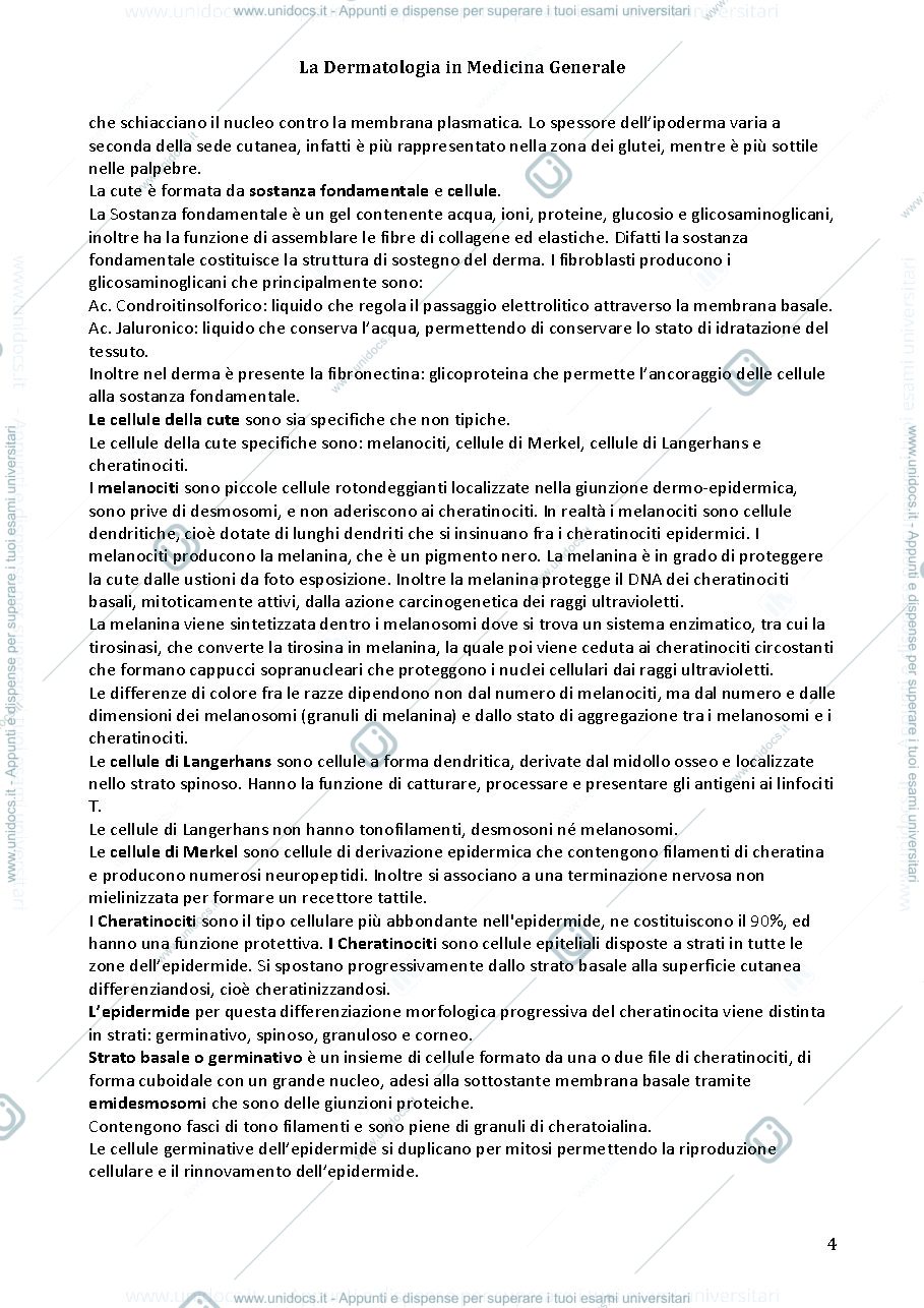 Anteprima pagina 2 — Dermatologia