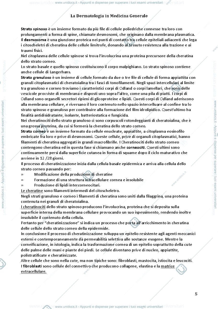 Anteprima pagina 3 — Dermatologia