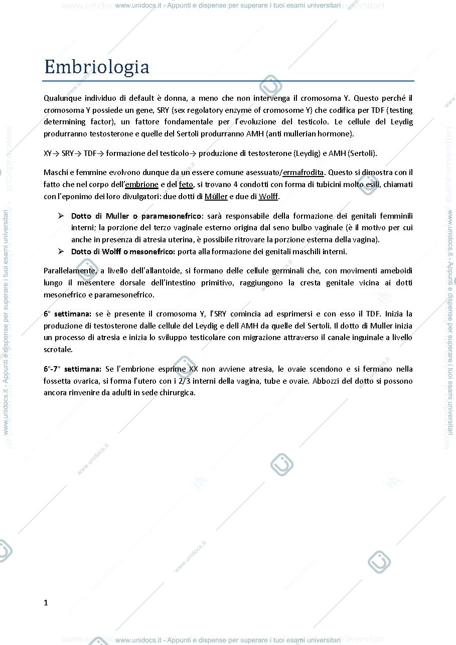 Anteprima pagina 1 — Ginecologia