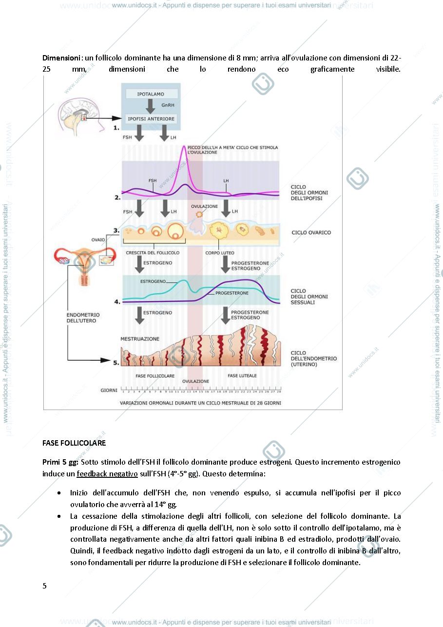 Anteprima pagina 5 — Ginecologia
