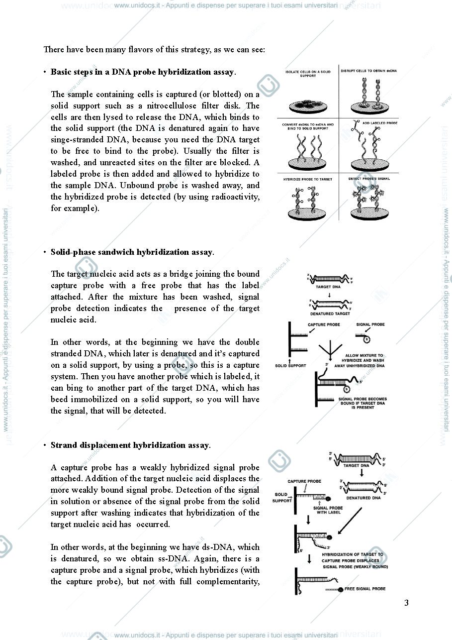 Anteprima pagina 3 — Lezione 6 - clinical virology and antiviral resistance