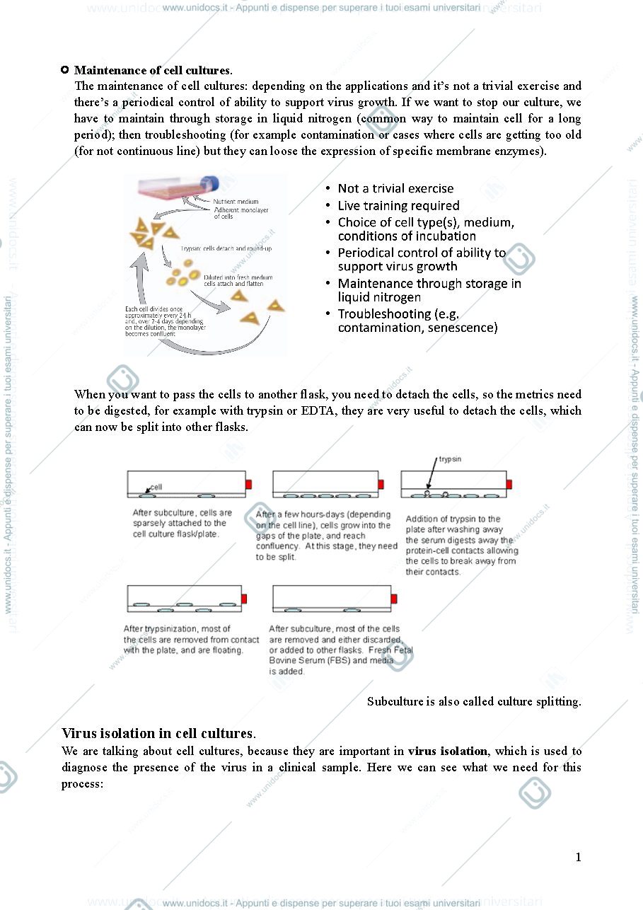 Anteprima pagina 1 — Lezione 5 - clinical virology and antiviral resistance
