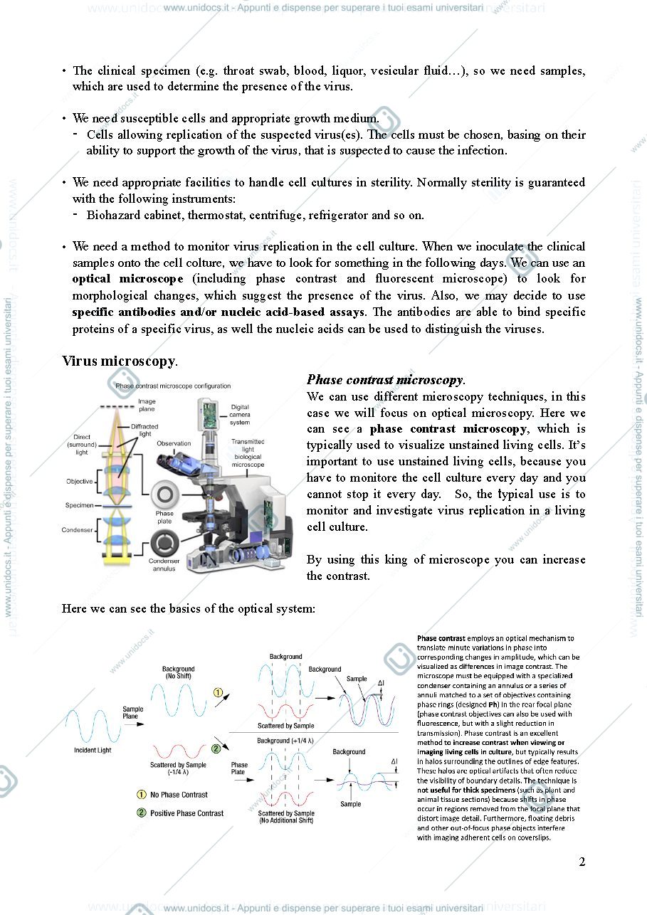 Anteprima pagina 2 — Lezione 5 - clinical virology and antiviral resistance