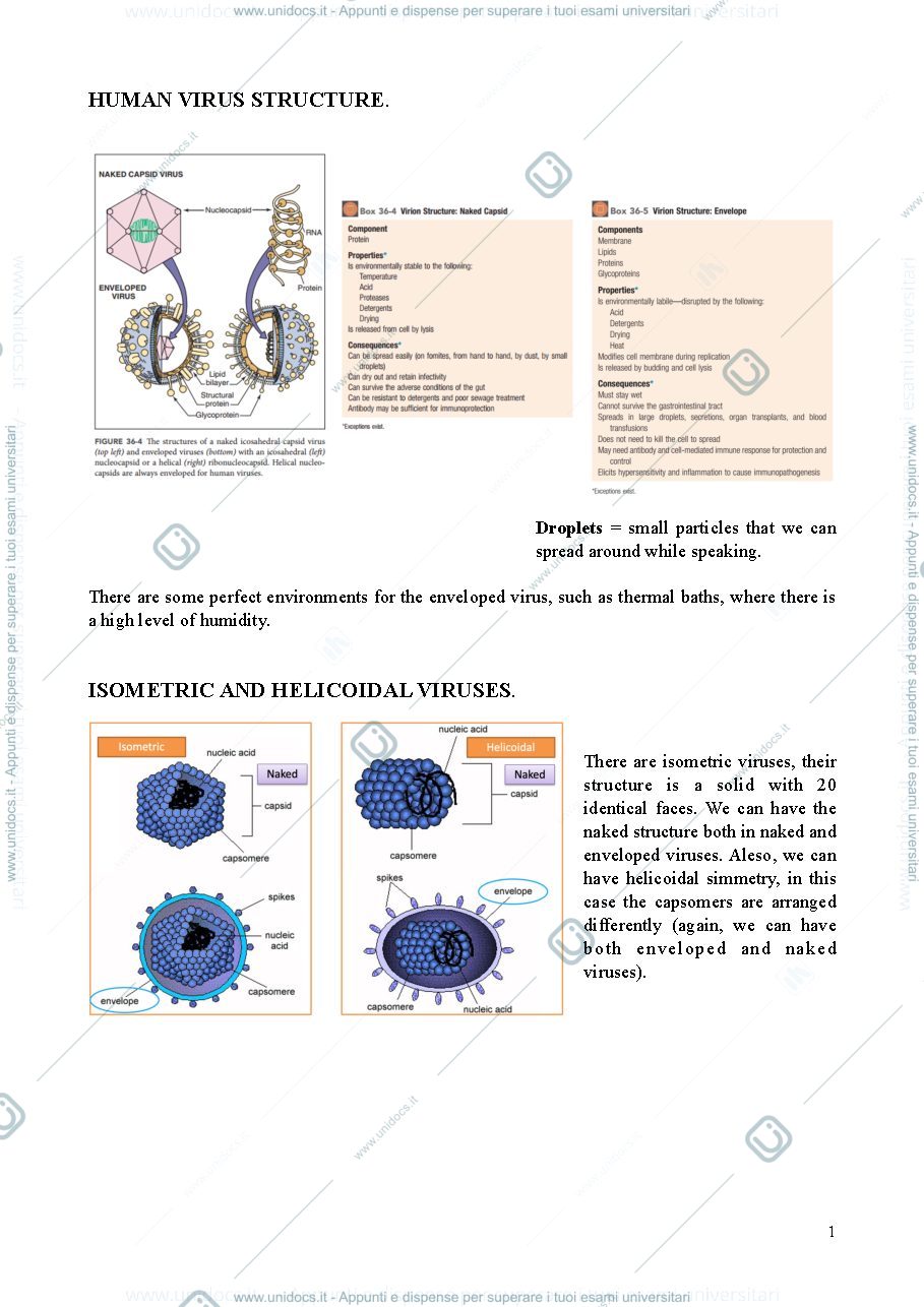Anteprima pagina 1 — Lezione 1 - Clinical virology and antiviral resistance 