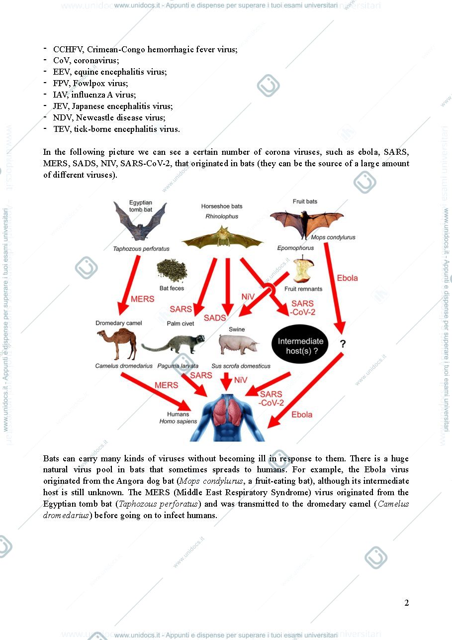 Anteprima pagina 2 — Lezione 2 - clinical virology and antiviral resistance
